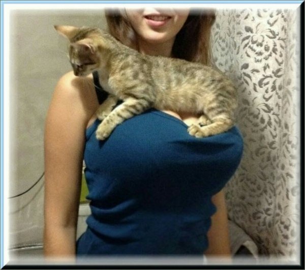 UID286449 1554898447 73