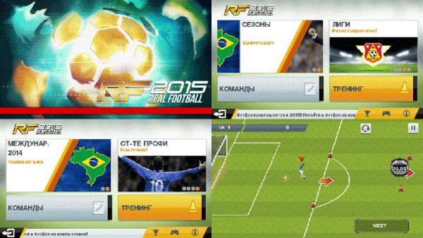 Real Football 2015 360x640 rus