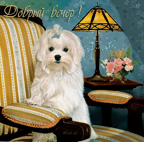 добрый вечер 084070