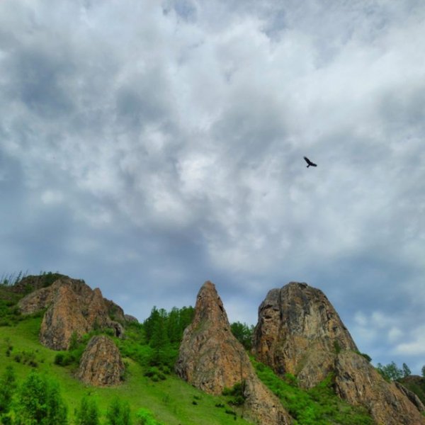 IMG 20260124 003330 664