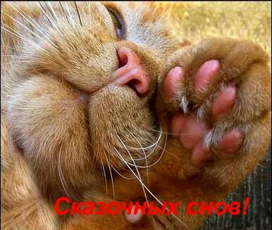 IMG 20181008 135027 529