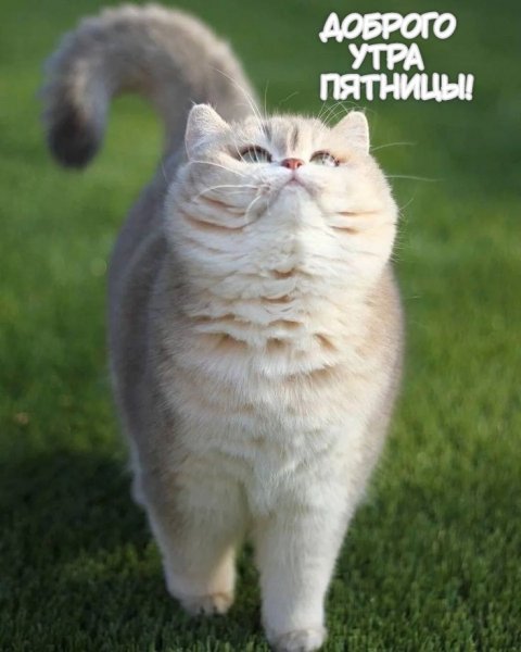 file_96869824