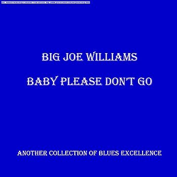 Big Joe Williams - 44 Blues