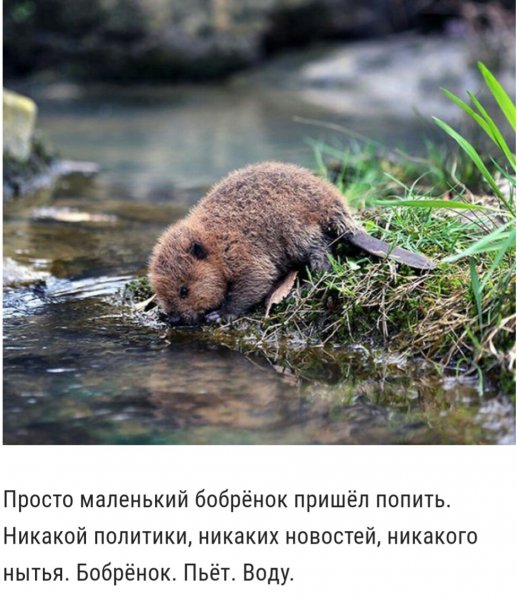 IMG 20190302 162144 652