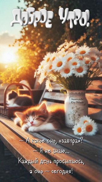 fb4601b40841c470cb6377e