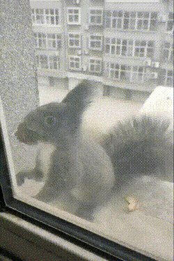 Давай меняться)