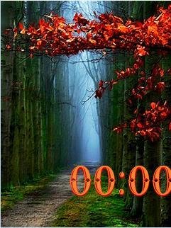 autumn trail