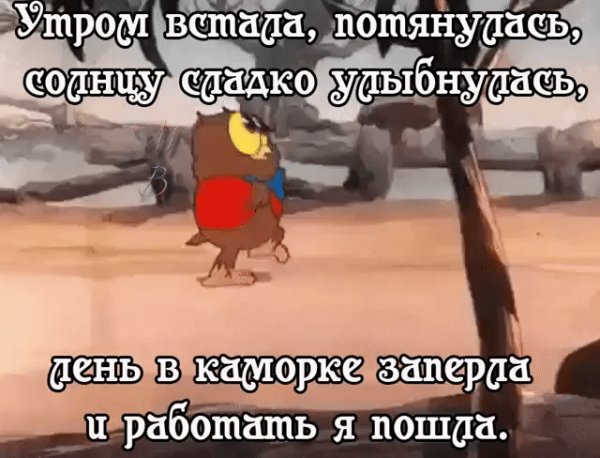 file_79254112