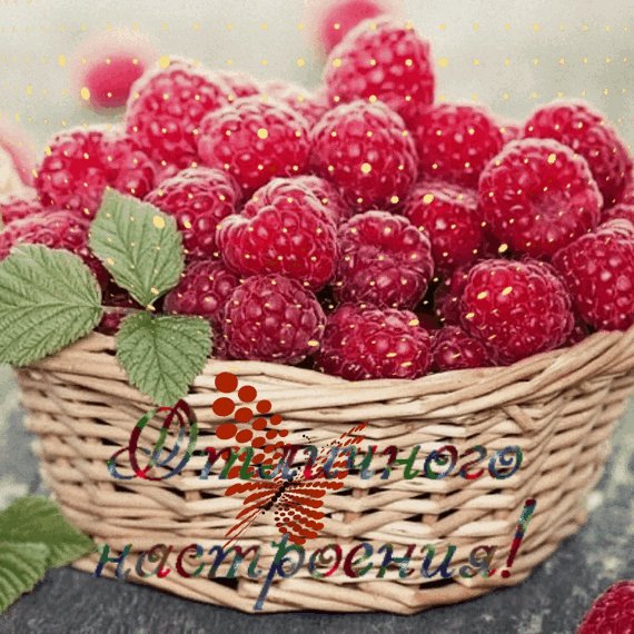 IMG 20180607 125215