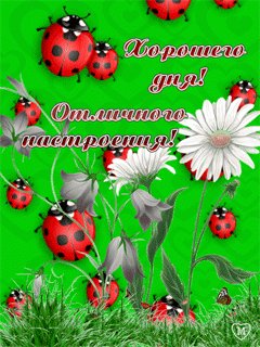 wap sasisa ru 959557caba73