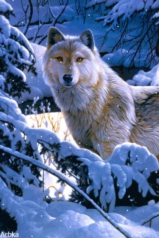 file_79581812