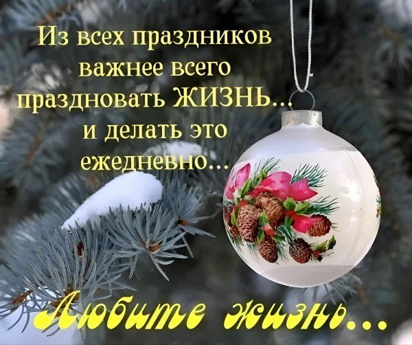 file_95499306