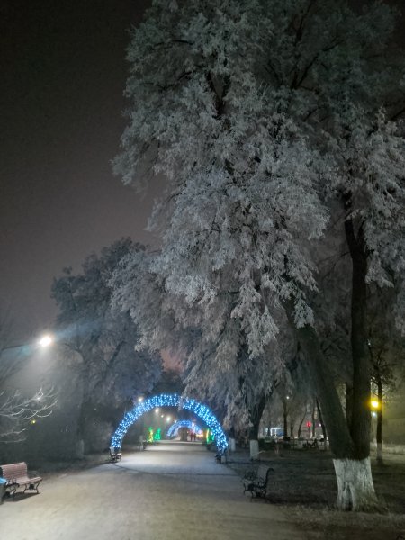 IMG 20251208 201229
