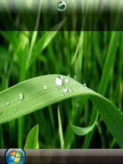 Vista Leaf1