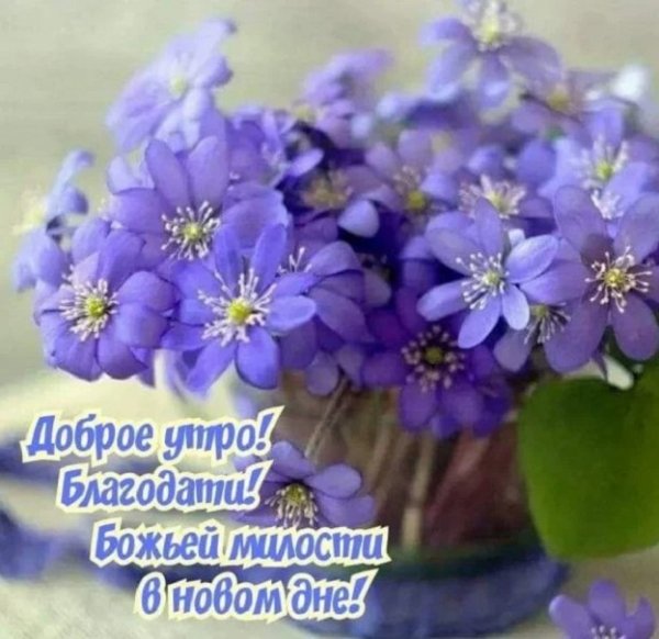 Доброе утро