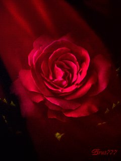 file_64791234