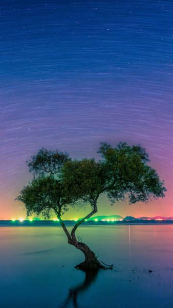 file_96486867
