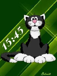 Очаровательный кот