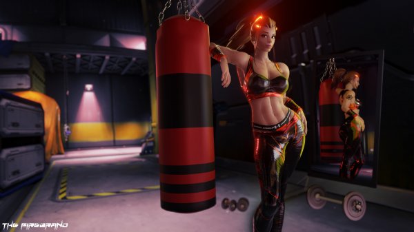 Overwatch - Brigitte B1Dw