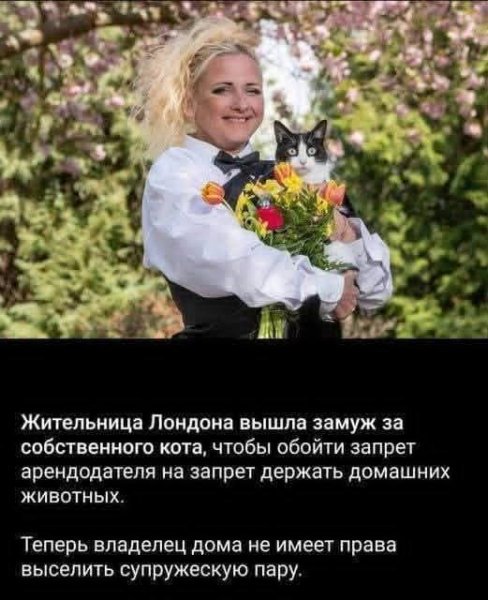 FB IMG 1778785047774