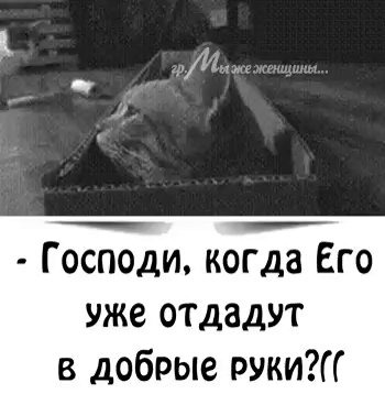 IMG 20220823 140219