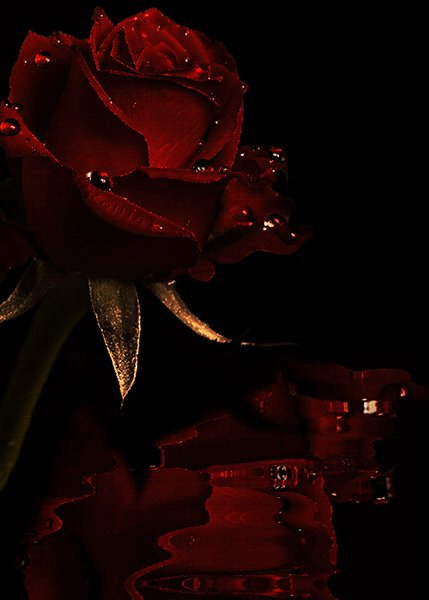 IMG 20171119 204148 0