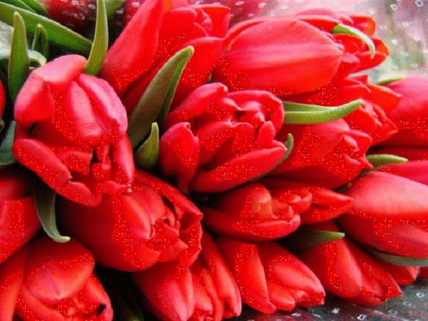 0 12031c bdf43bc5 XL