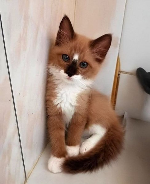 5dcc125b64ad6d191014cacb1f92c591