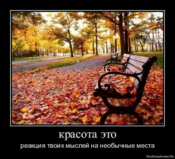Красота осени