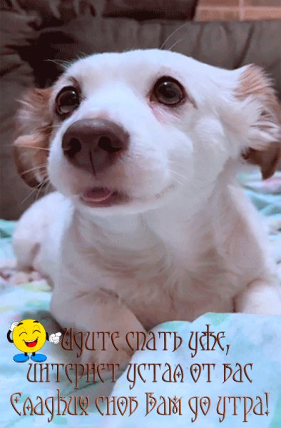 2d973e654198786d72132c05c5207ba3-1