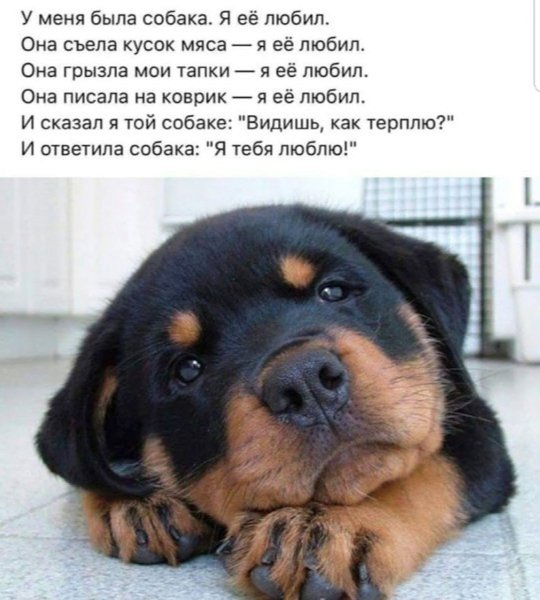 file_102394782