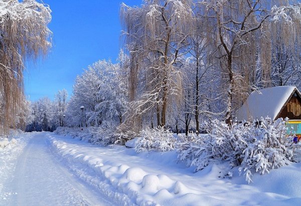 Зима. Дорога.