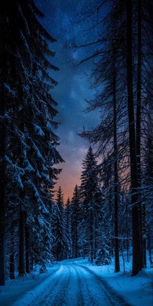 file_101817241