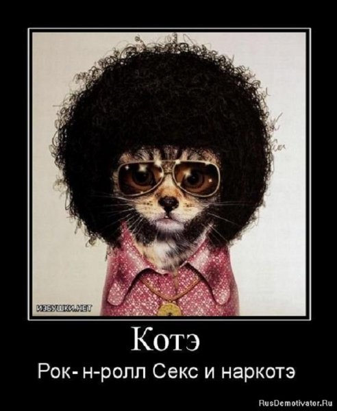 Котэ рок-н-рол
