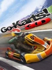 x320-go carts 3d-s60