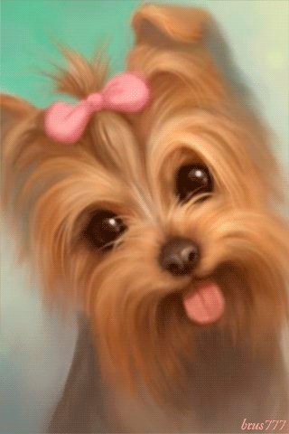 file_46506600