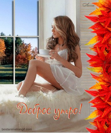 b526bdbf12b1b037dc6o8823594dl