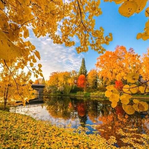 FB IMG 16035344983755246