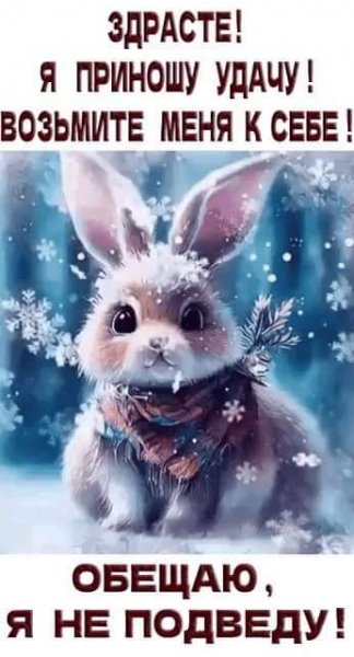 FB IMG 1671468326417