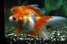 images014