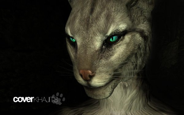 Coverkhajiits female and male v1-0