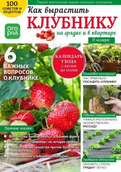 N 20-Как вырастить клубнику на грядке и в квартире