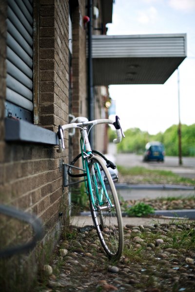 New 83 Ashley Baxter