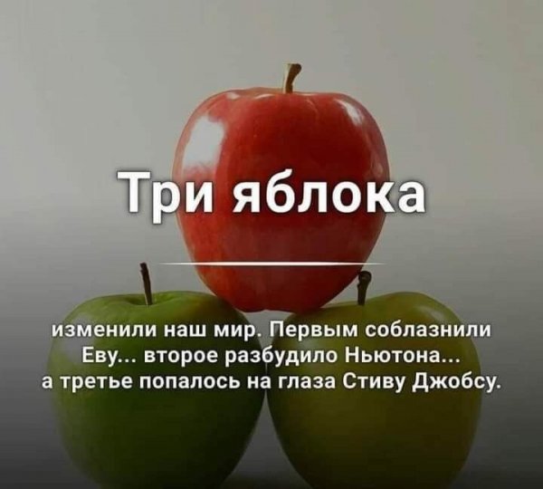 95ee54f4090caf45ac6ff5852518a845