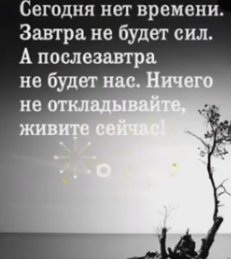 сегодня