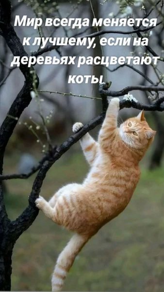 FB IMG 1774387443599