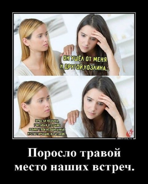 Поросло травой место наших встреч