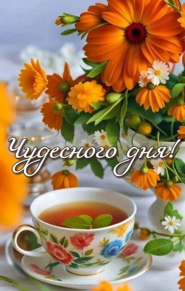 IMG-20251125-WA0013(1)