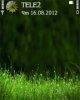 grassgreen yxmxumbx