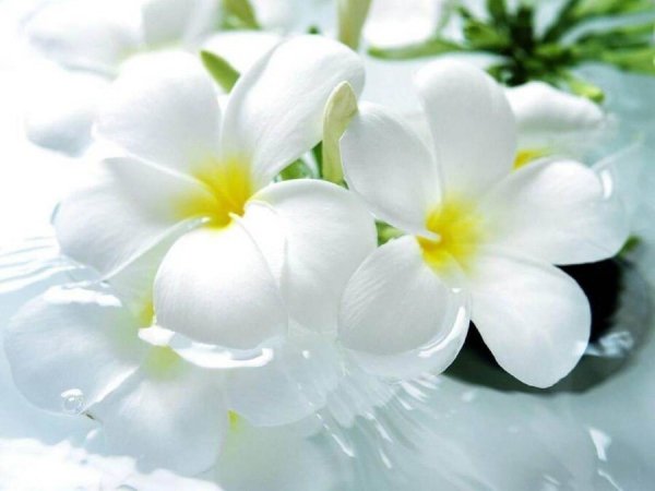 5c03c6c4219a0a4e7ab734a5179d